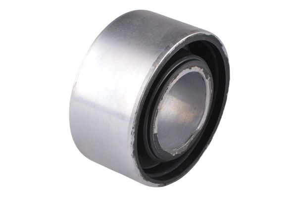 Mounting, differential-1