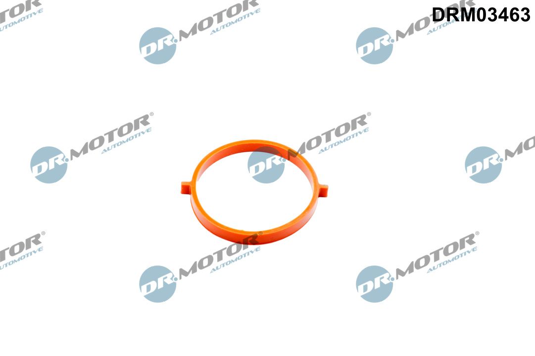 DR.MOTOR AUTOMOTIVE DRM03463 Gasket, throttle body