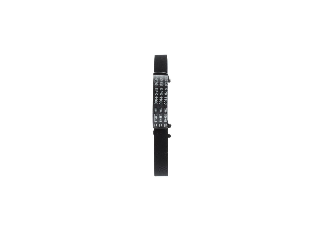 V-ribbed Belt-3
