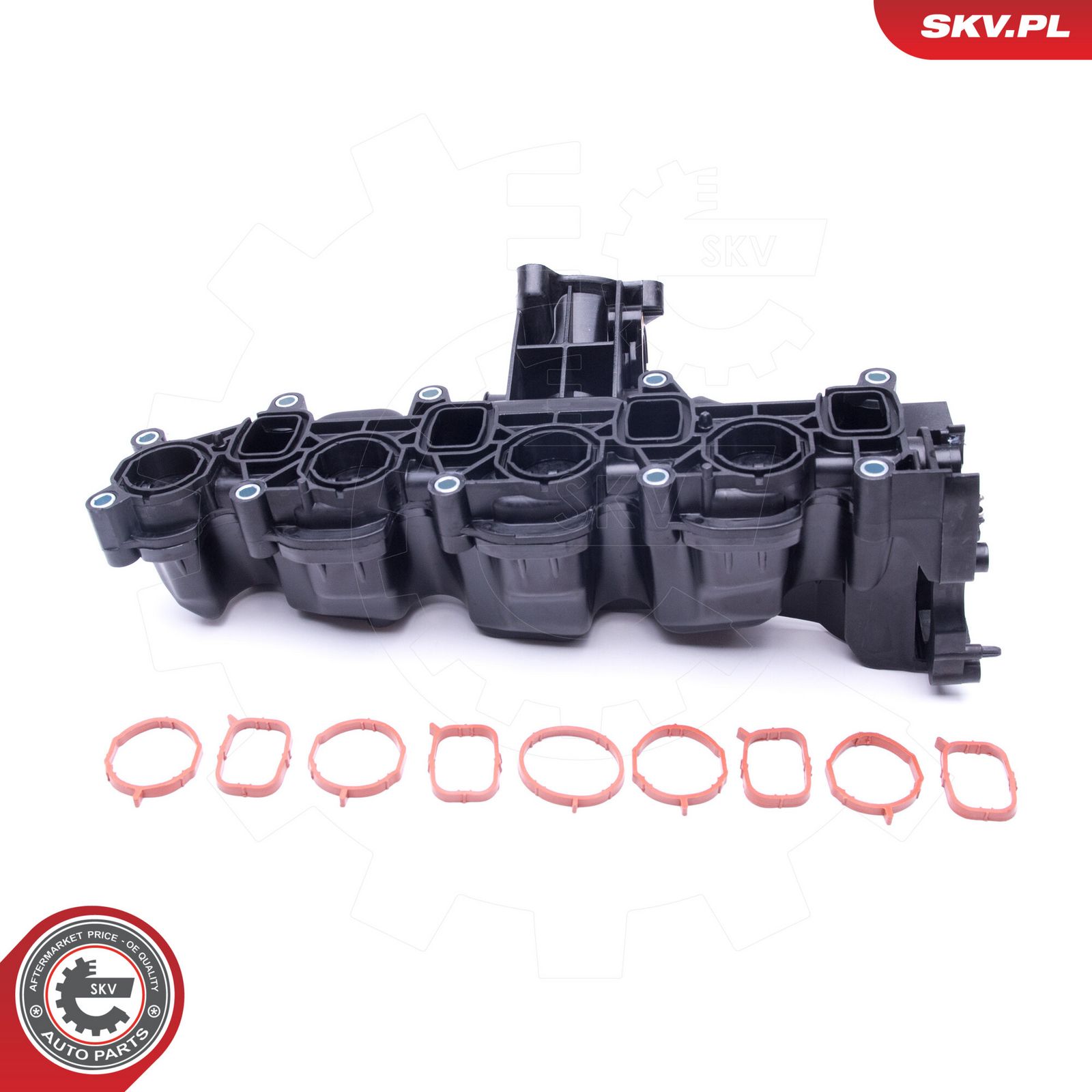 ESEN SKV 49SKV040 Intake manifold module