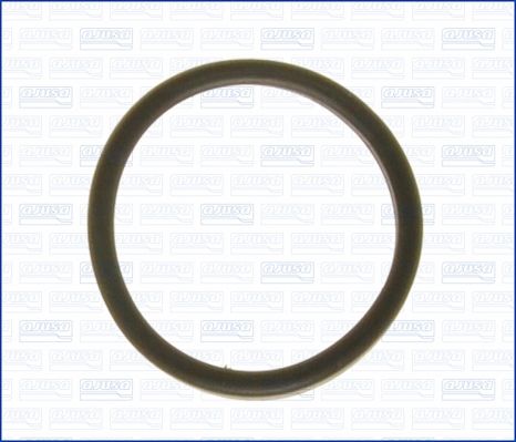 Seal, thermostat-1