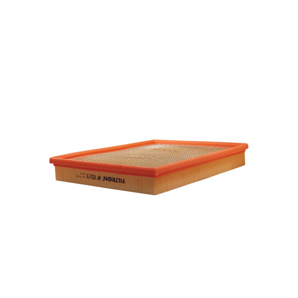 FILTRON AP 051/3 Air filter