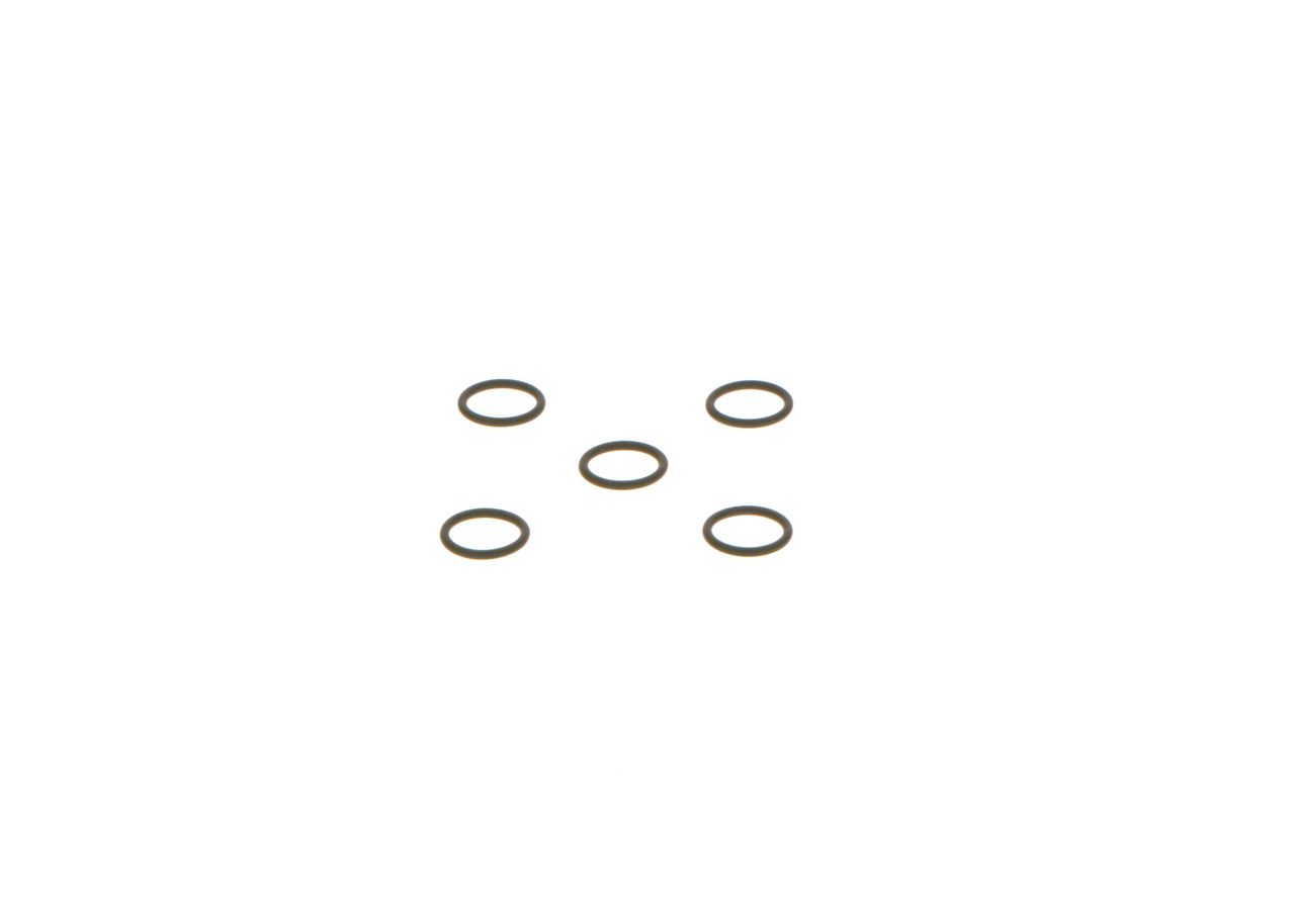 Seal Ring-2