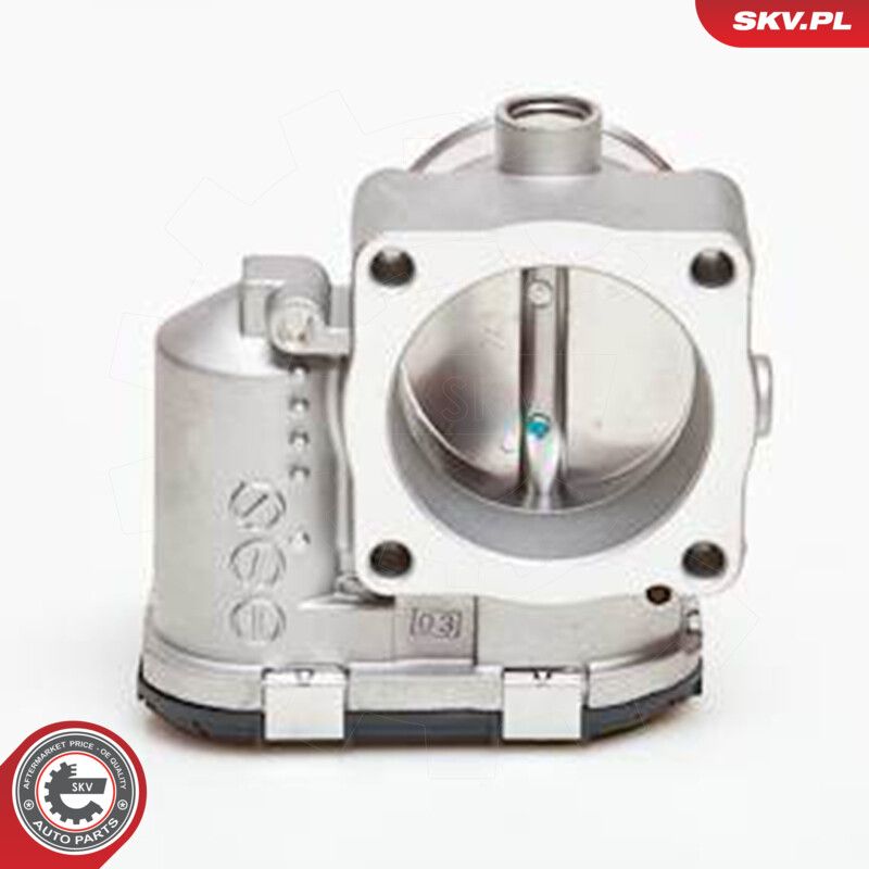 Throttle Body-1