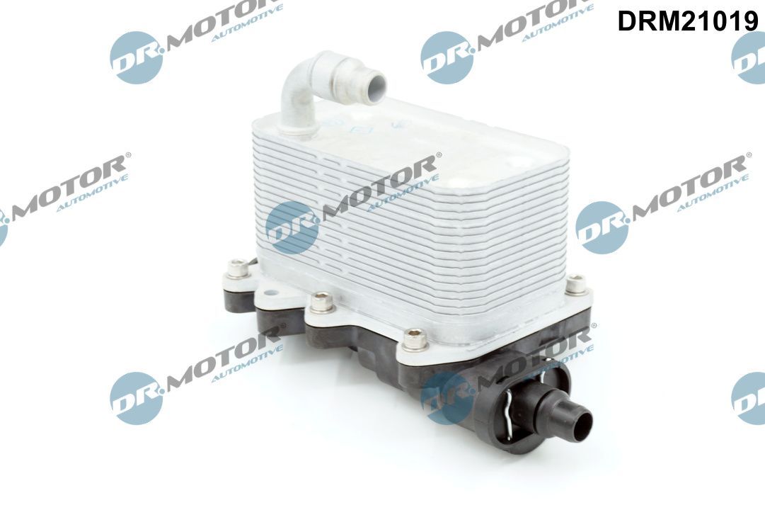 DR.MOTOR AUTOMOTIVE DRM21019 Oil cooler, automatic transmission