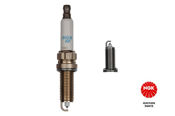 Spark Plug-1