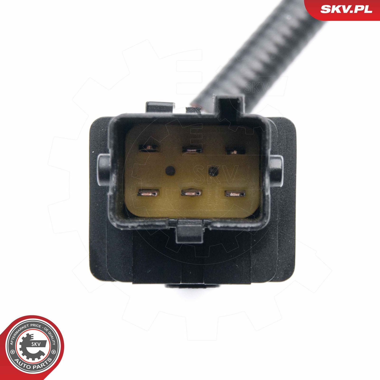 Oxygen Sensor-2