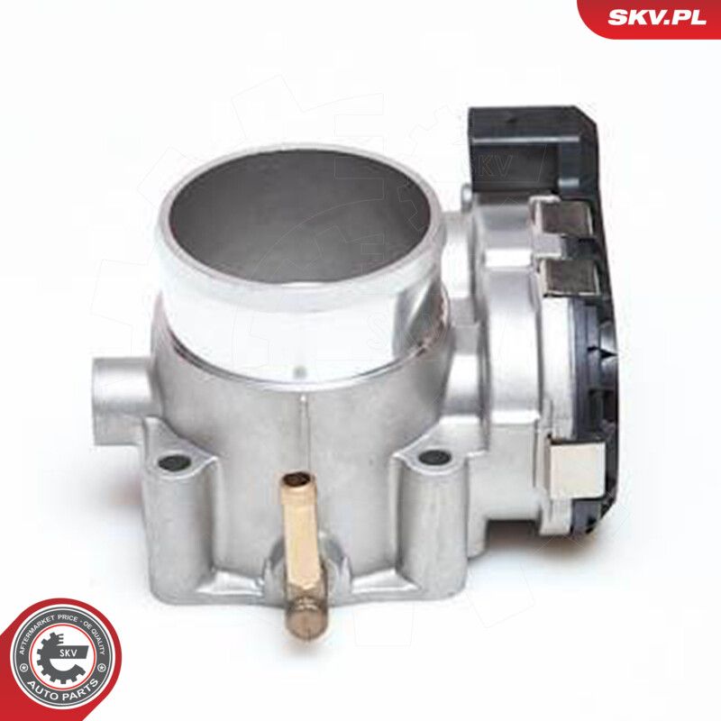 Throttle Body-2