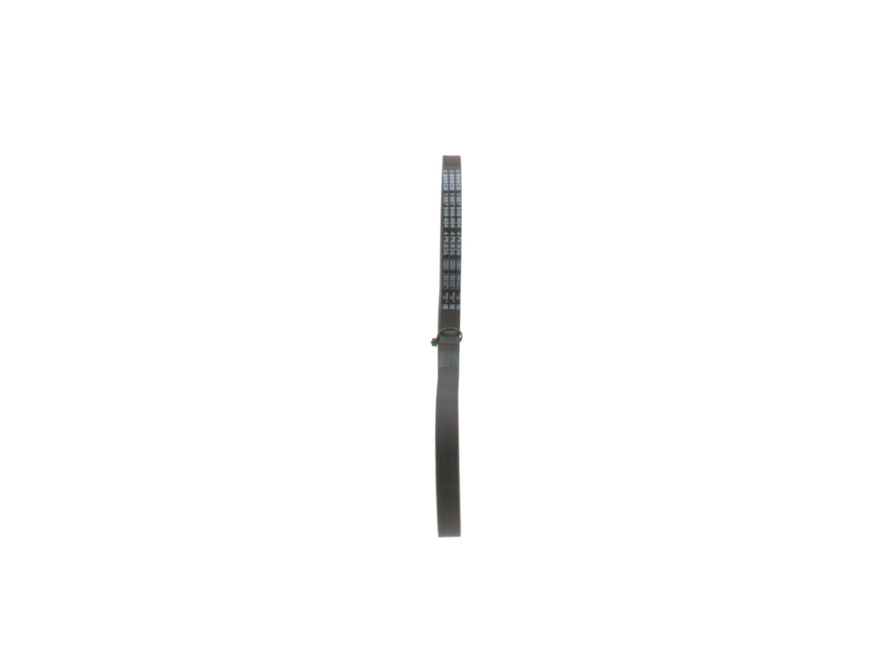 V-ribbed Belt-1