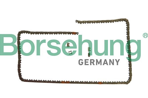 BORSEHUNG B1C031 Timing chain