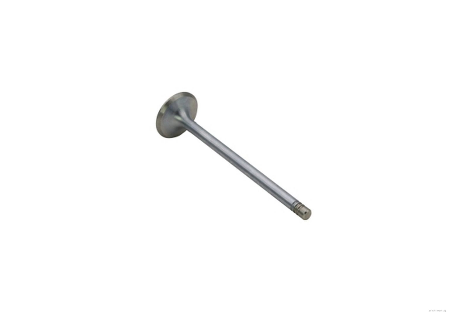 Exhaust Valve-1