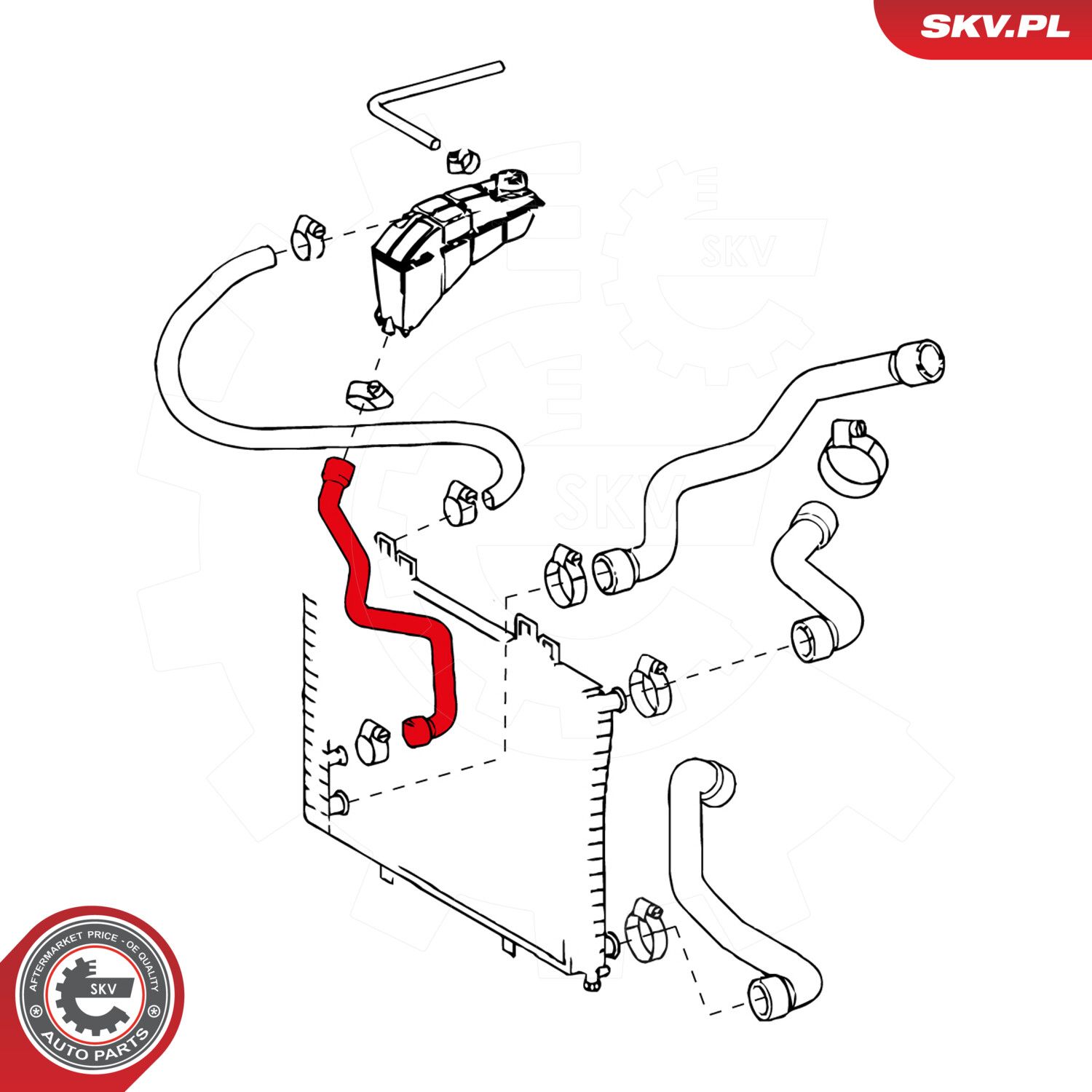 Radiator Hose-2