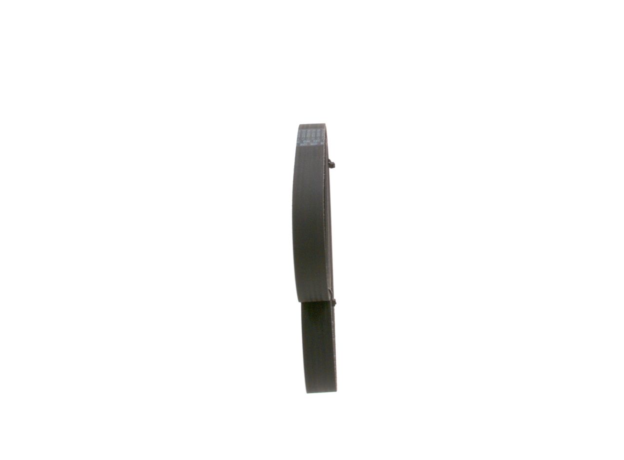 V-ribbed Belt-1
