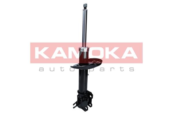 Shock Absorber
