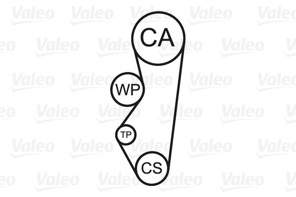 vandens siurblio ir paskirstymo diržo komplektas-1