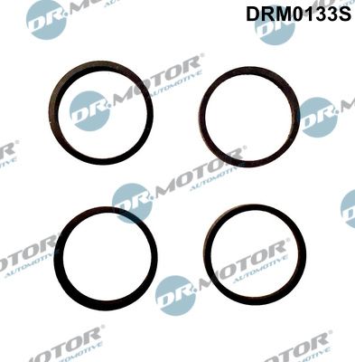DR.MOTOR AUTOMOTIVE DRM0133S Gasket set, intake manifold