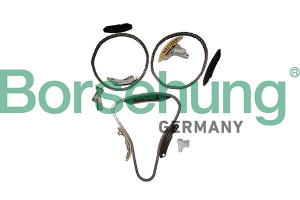 BORSEHUNG B12959 Timing chain kit