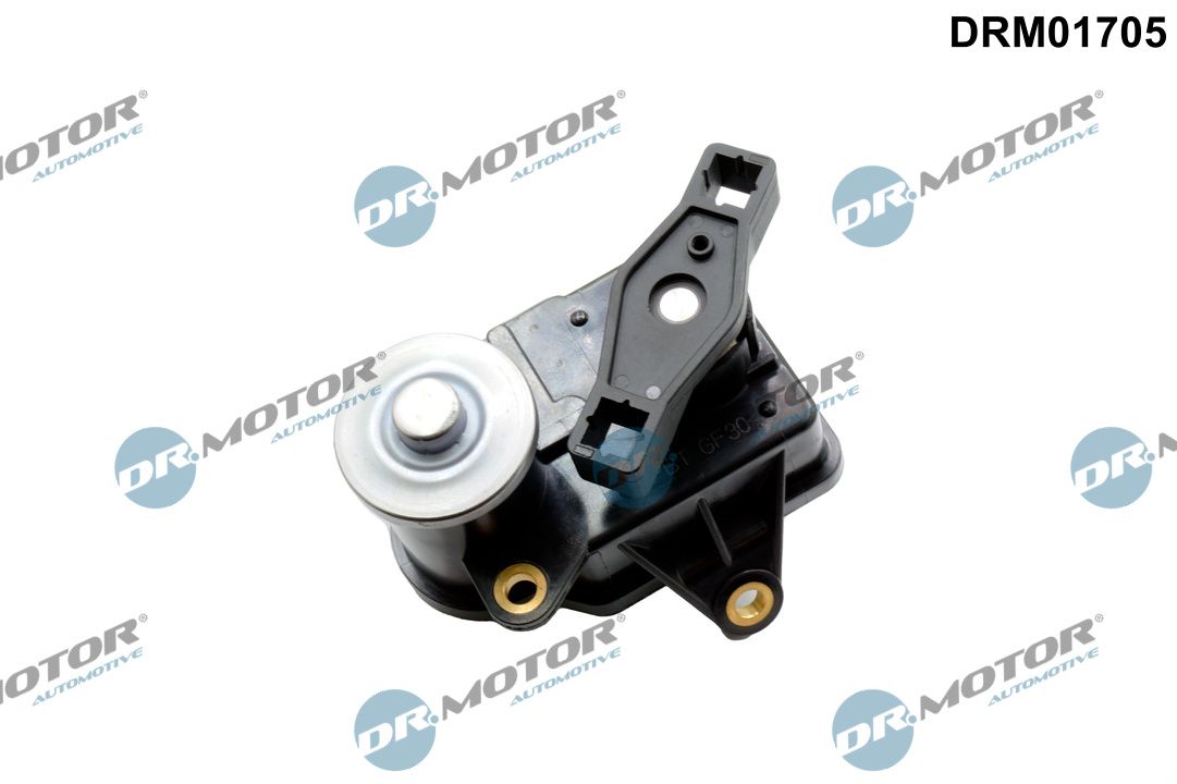 DR.MOTOR AUTOMOTIVE DRM01705 Control, swirl flaps (induction pipe)