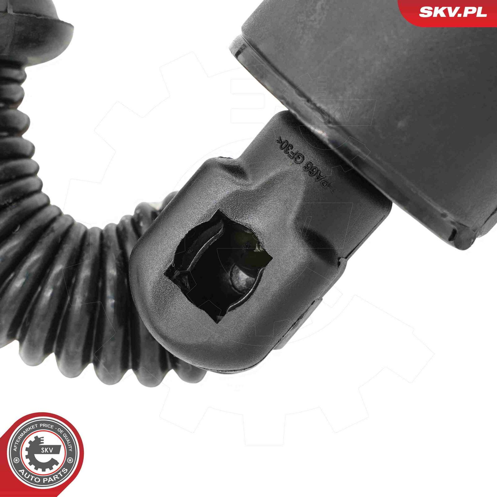 Electric Motor, tailgate-2