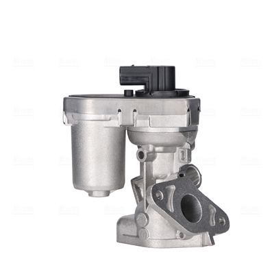 EGR Valve-1