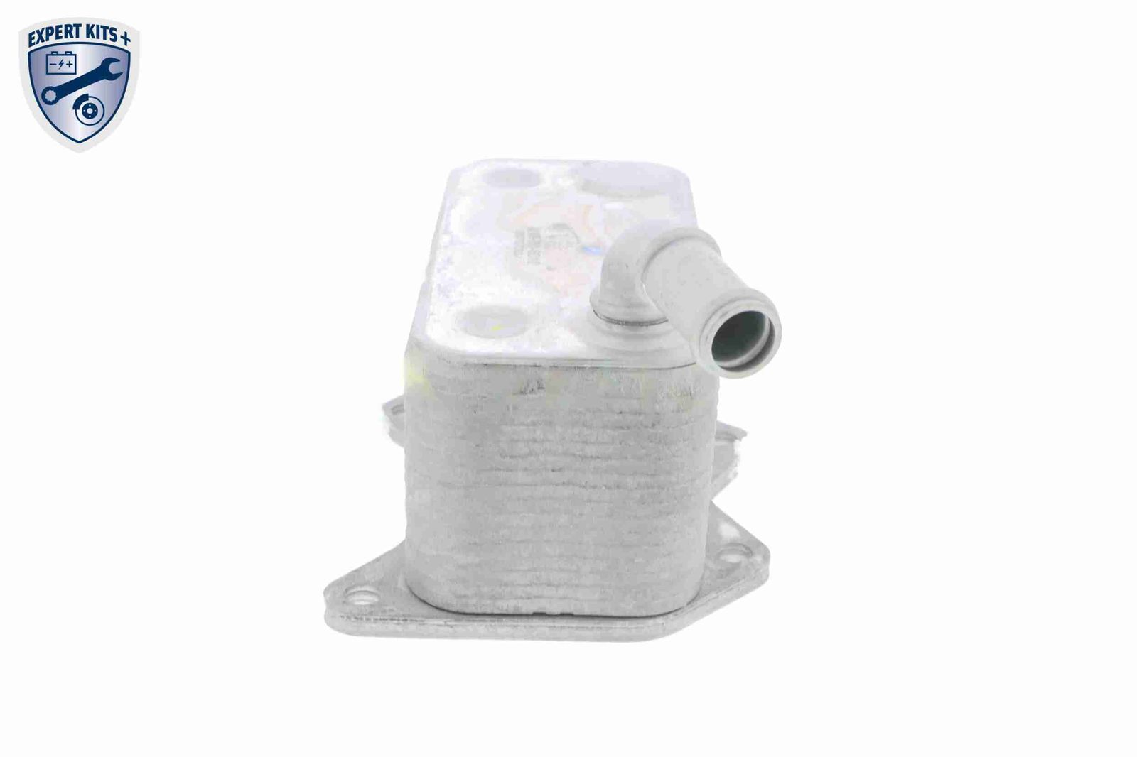 Oil Cooler, engine oil-8