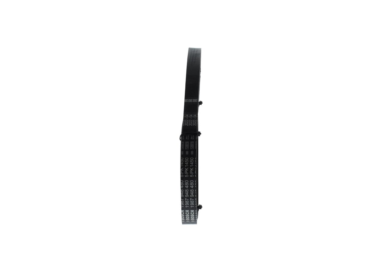 V-ribbed Belt-1
