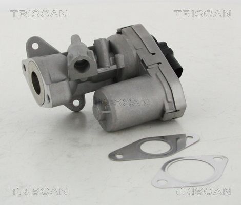 TRISCAN 8813 10002 Egr valve