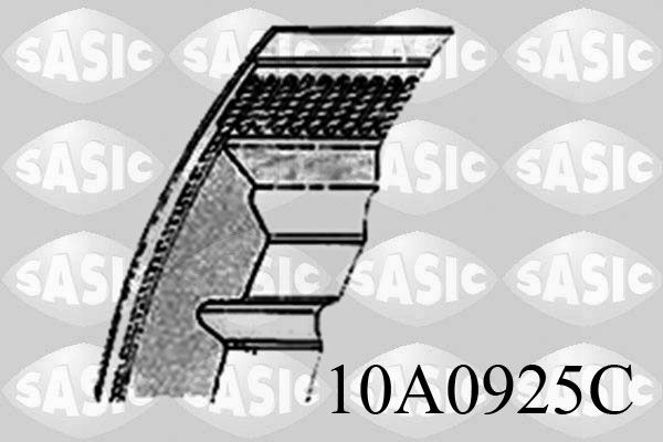 SASIC 10A0925C V-ribbed belt