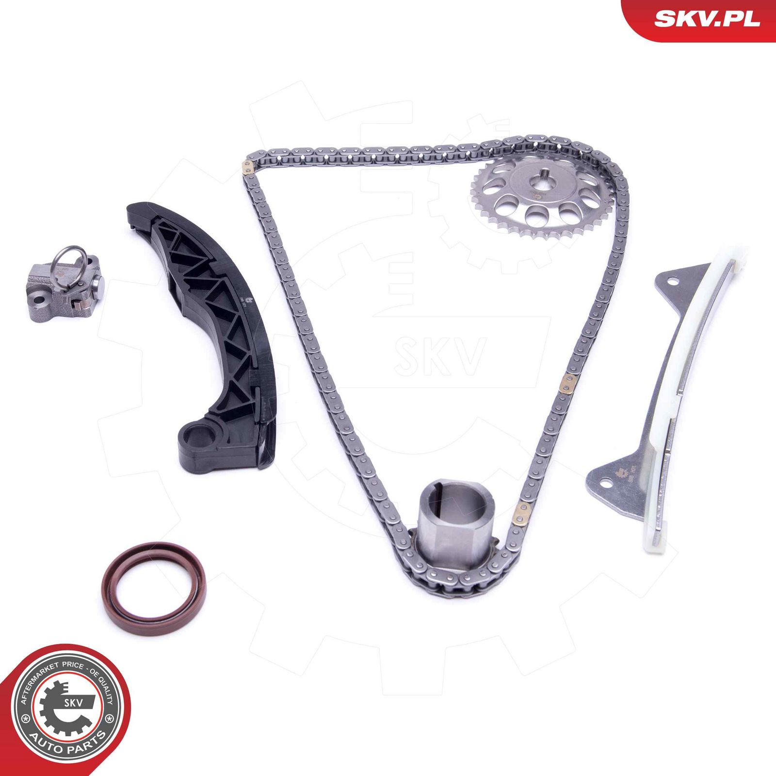ESEN SKV 21SKV228 Timing chain kit