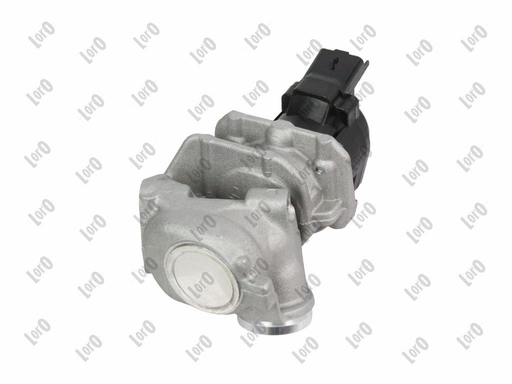 EGR Valve-1