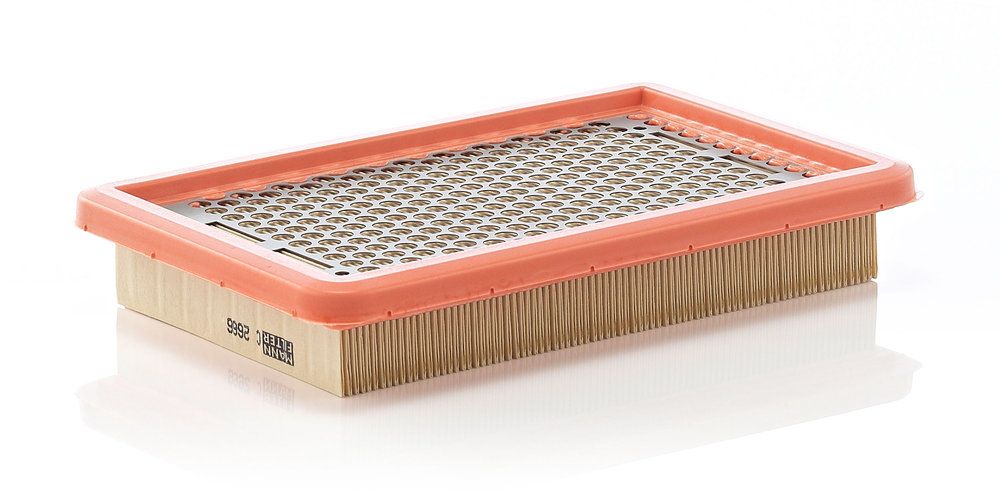 MANN-FILTER C 2666 Air filter