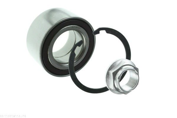AUTOMEGA 110018110 Wheel bearing kit