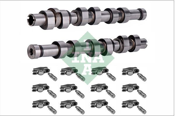 SCHAEFFLER INA 428 0058 30 Camshaft kit