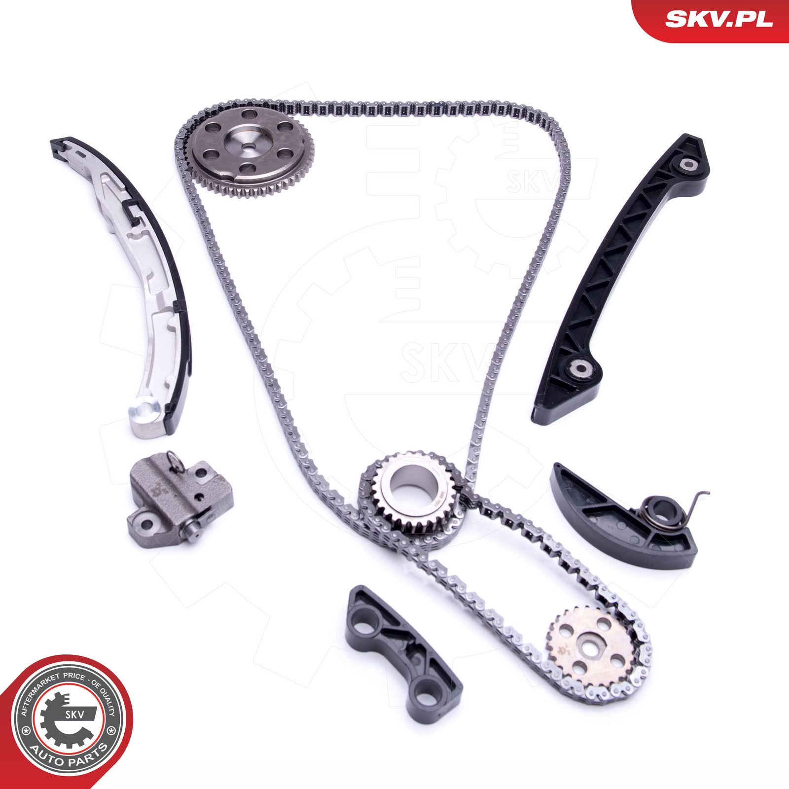 ESEN SKV 21SKV219 Timing chain kit