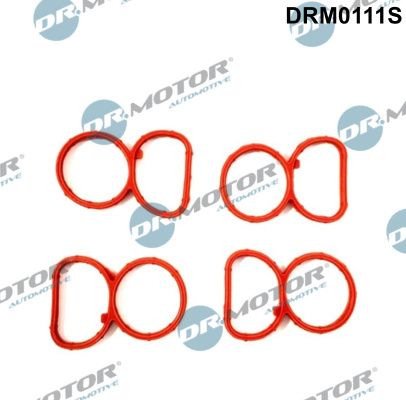 DR.MOTOR AUTOMOTIVE DRM0111S Gasket set, intake manifold