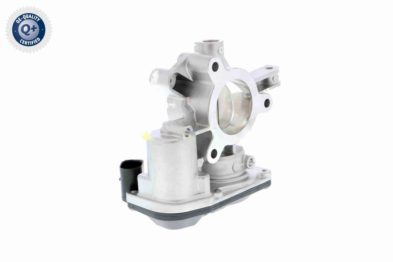 Throttle Body-5