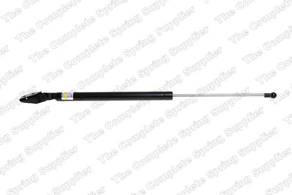 Gas Spring, boot/cargo area