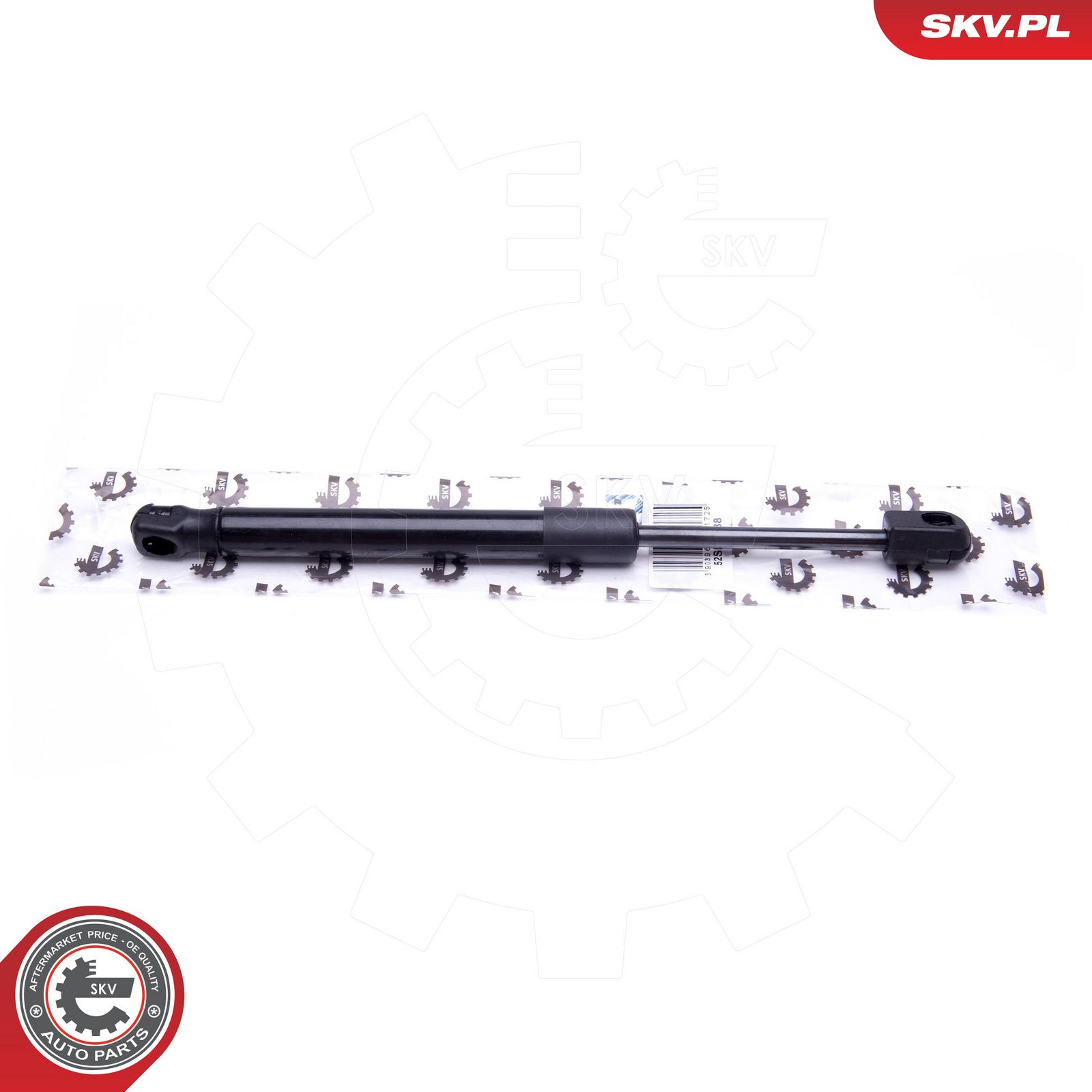 Gas Spring, boot/cargo area