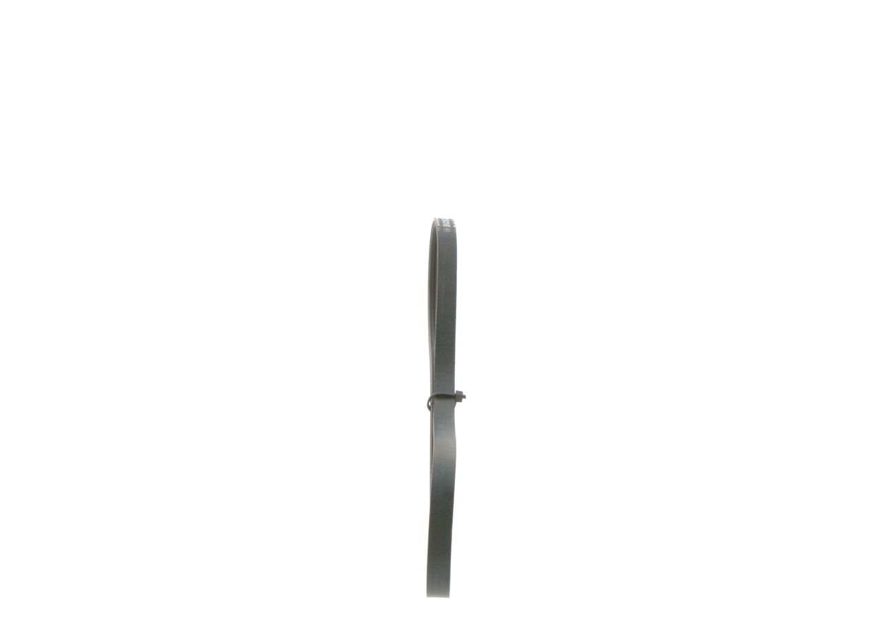 V-ribbed Belt-1