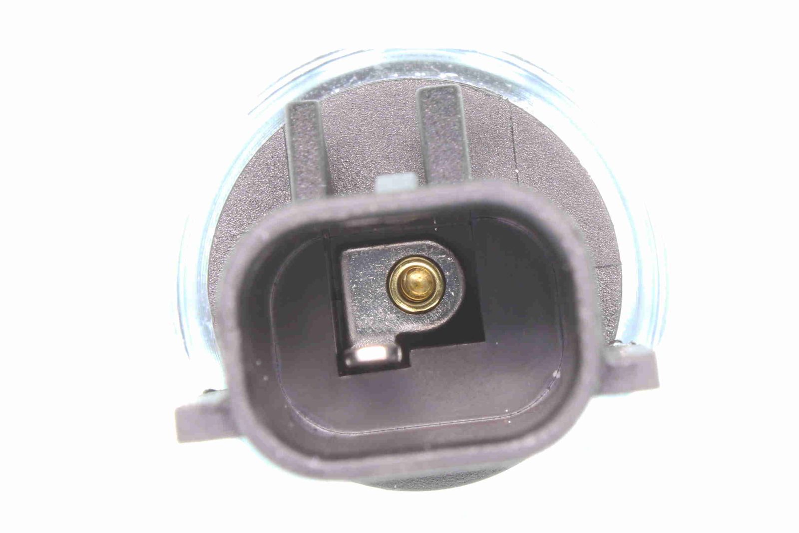 Oil Pressure Switch-1