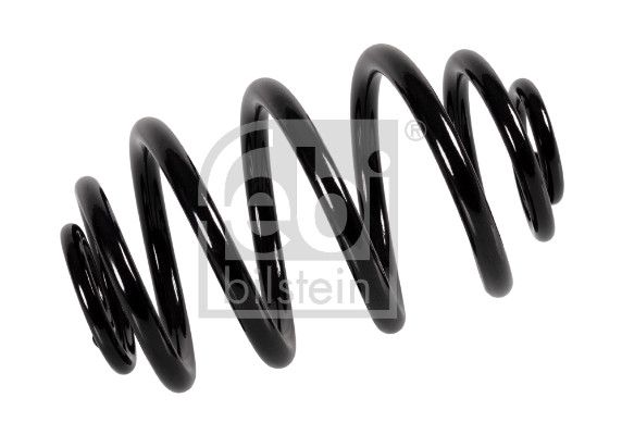 Suspension Spring-main
