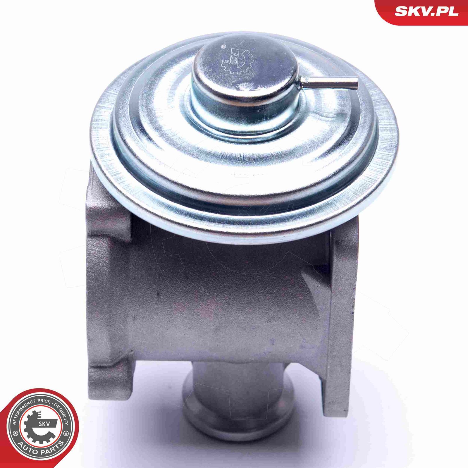 EGR Valve-1
