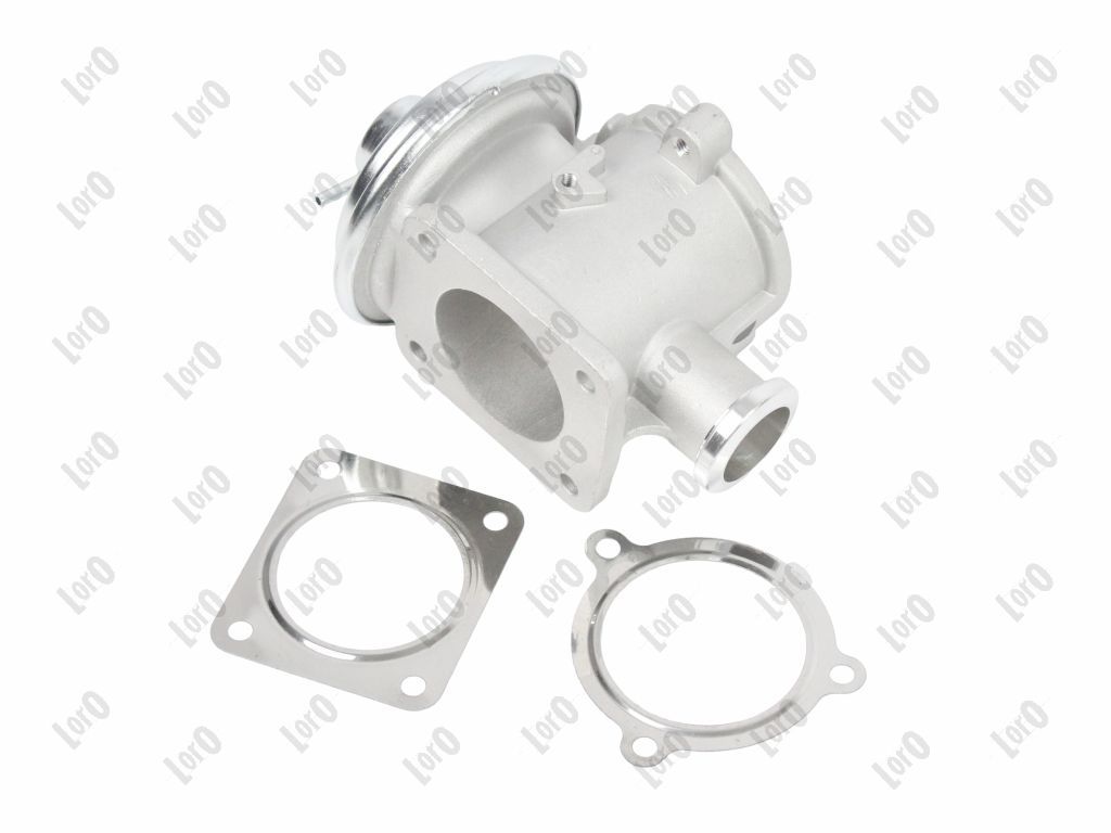 EGR Valve-1