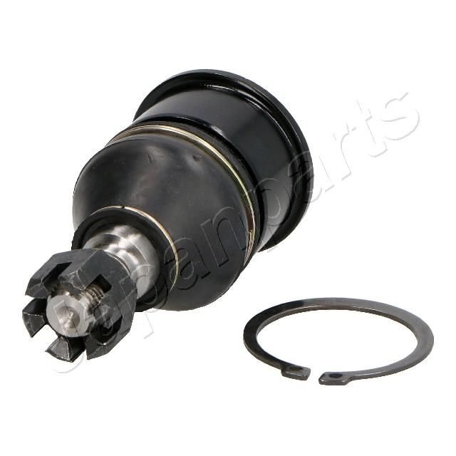 Šarnyras / girgždukas