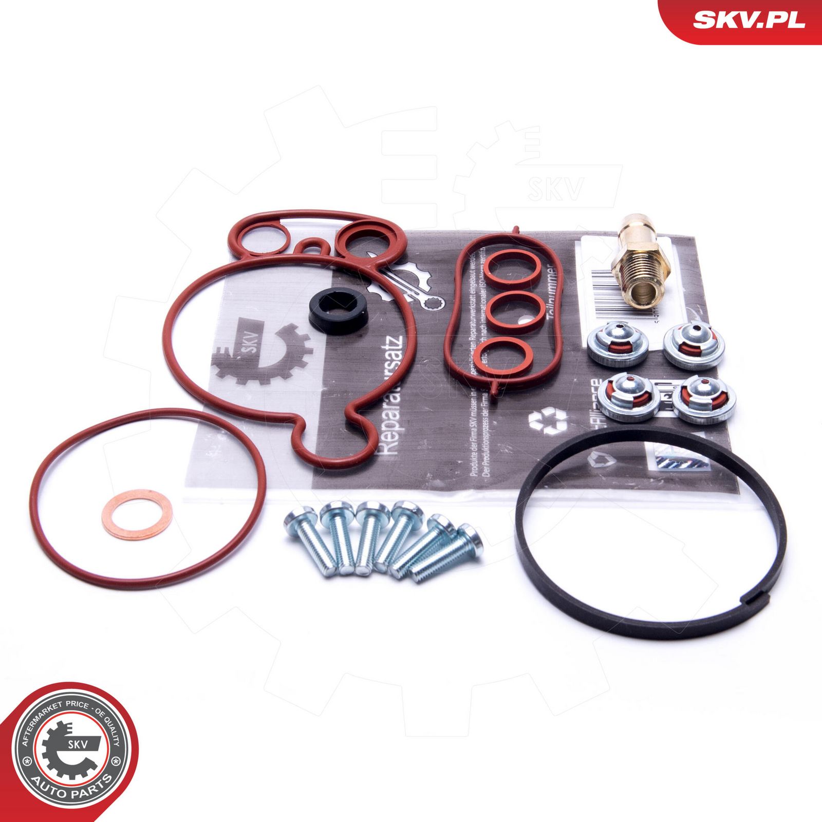 Repair Set, vacuum pump (braking system)-1