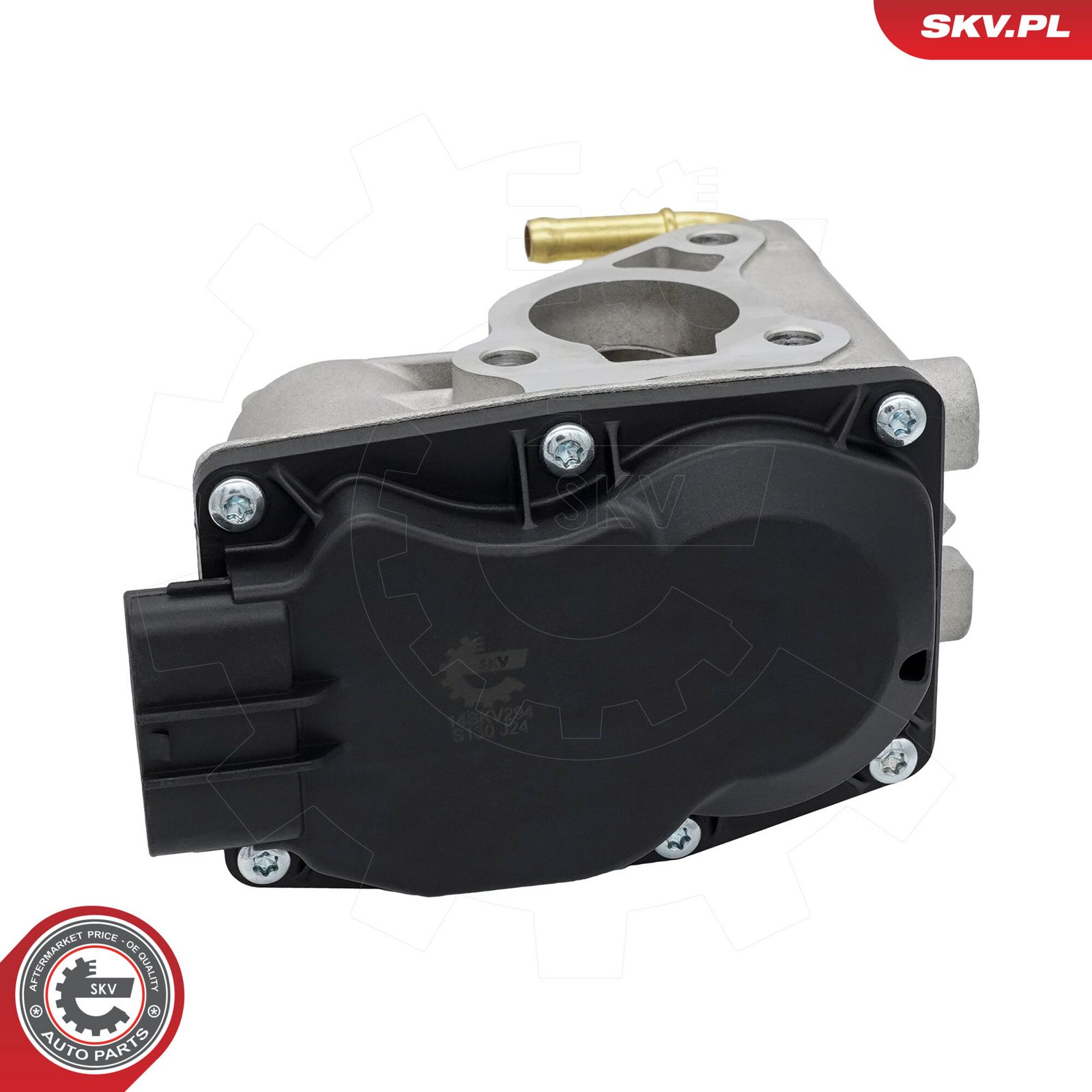 EGR Valve-4