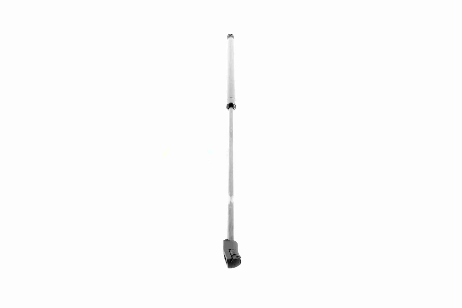 Gas Spring, bonnet-5