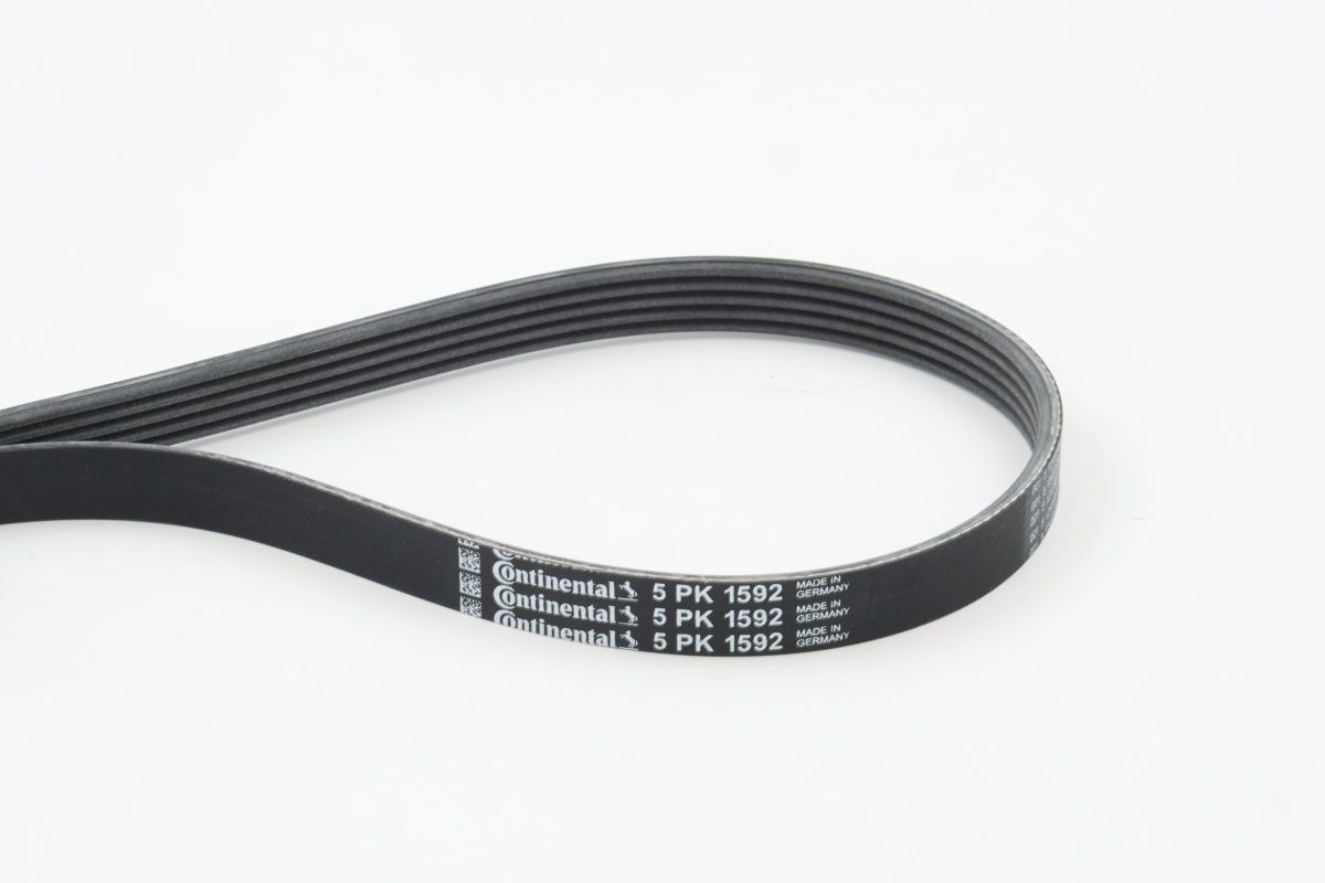 CONTINENTAL CTAM 5PK1592 V-ribbed belt
