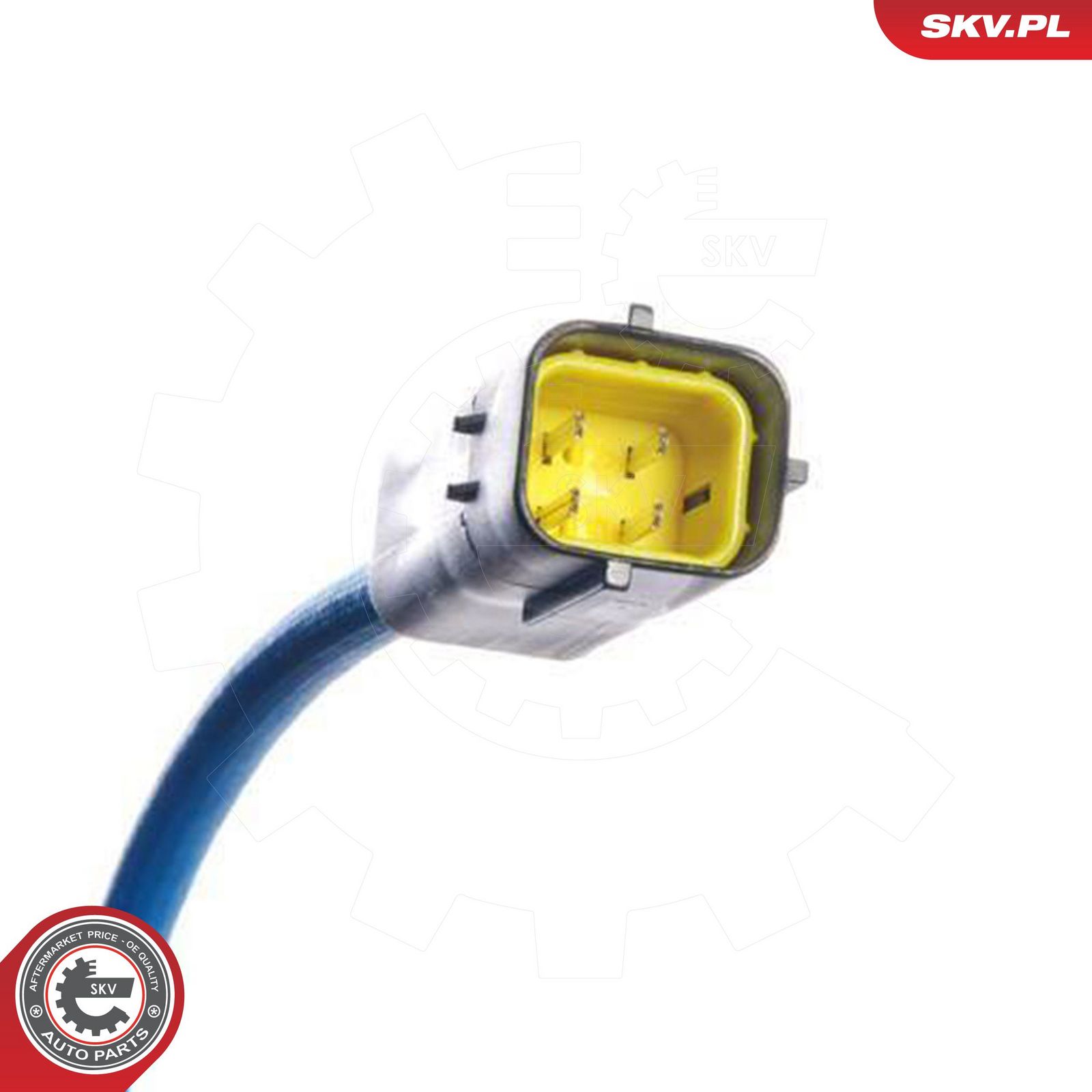 Oxygen Sensor-2