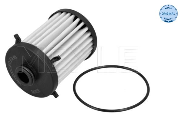 MEYLE 100 136 1007 Hydraulic filter, automatic transmission